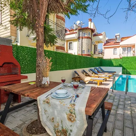 Papatya *