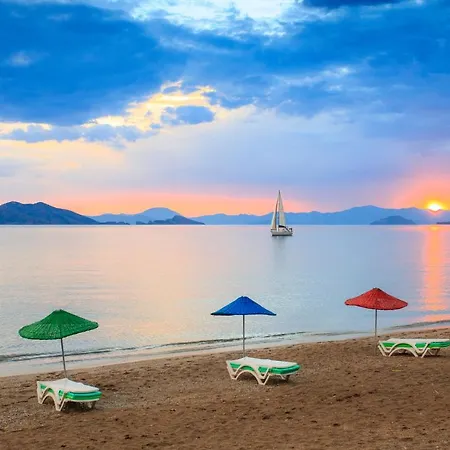 Papatya Fethiye
